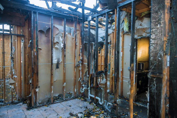 Professional Fire Damage Removal technician working in Wyncote, PA