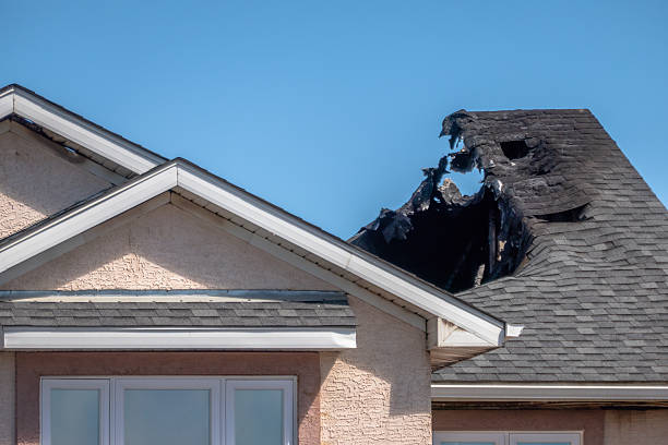 Top rated local Fire Damage Removal specialists in Wyncote, PA